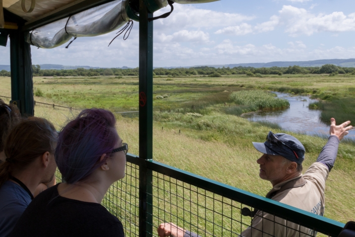 Dave Paynter giving a Wild Safari out on Slimbridge reserve.jpg